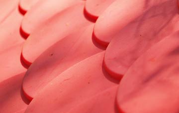 Yelverton plastic roof costs